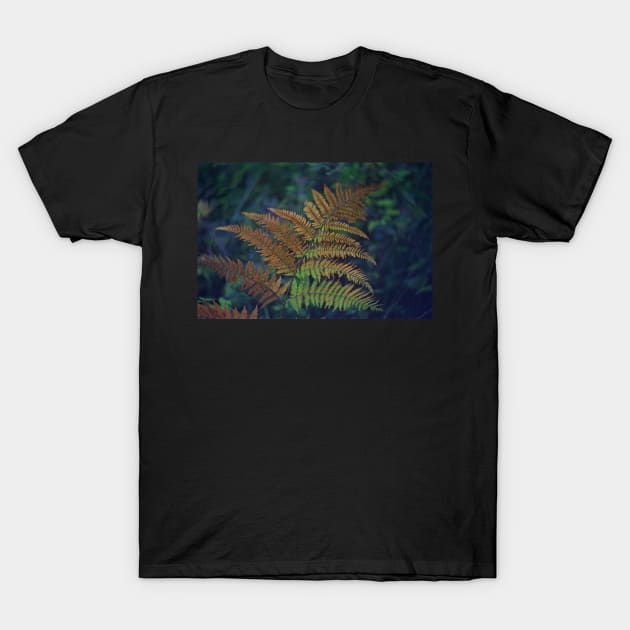 CAPITAL GROWTH T-Shirt by dumbodancer